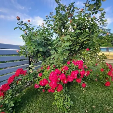 Blackminthouse Villa *