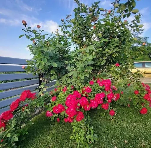 Blackminthouse Vila *